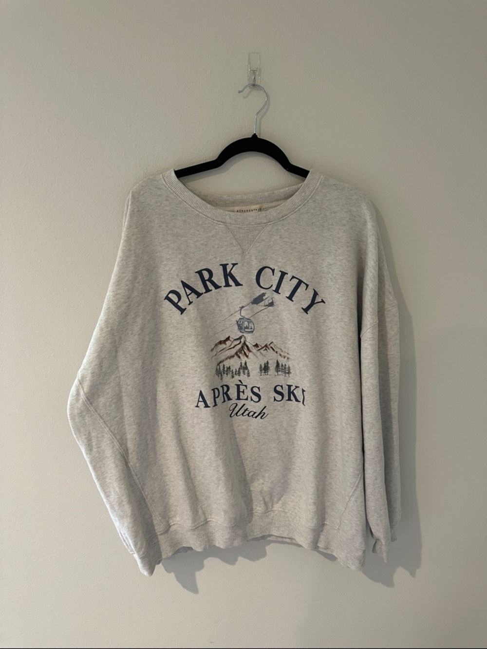 Aeropostale Light Gray Crewneck with Navy and Brown Graphic